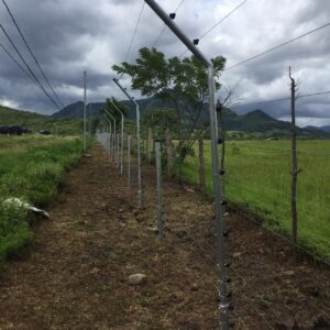 Cerca Eléctrica de 12 hilos