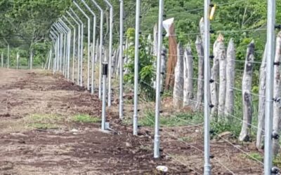 “¿Tu hogar realmente está protegido? Descubre el sistema que disuade intrusos en segundos”