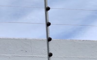 ¿La cerca eléctrica es peligrosa para niños y mascotas?