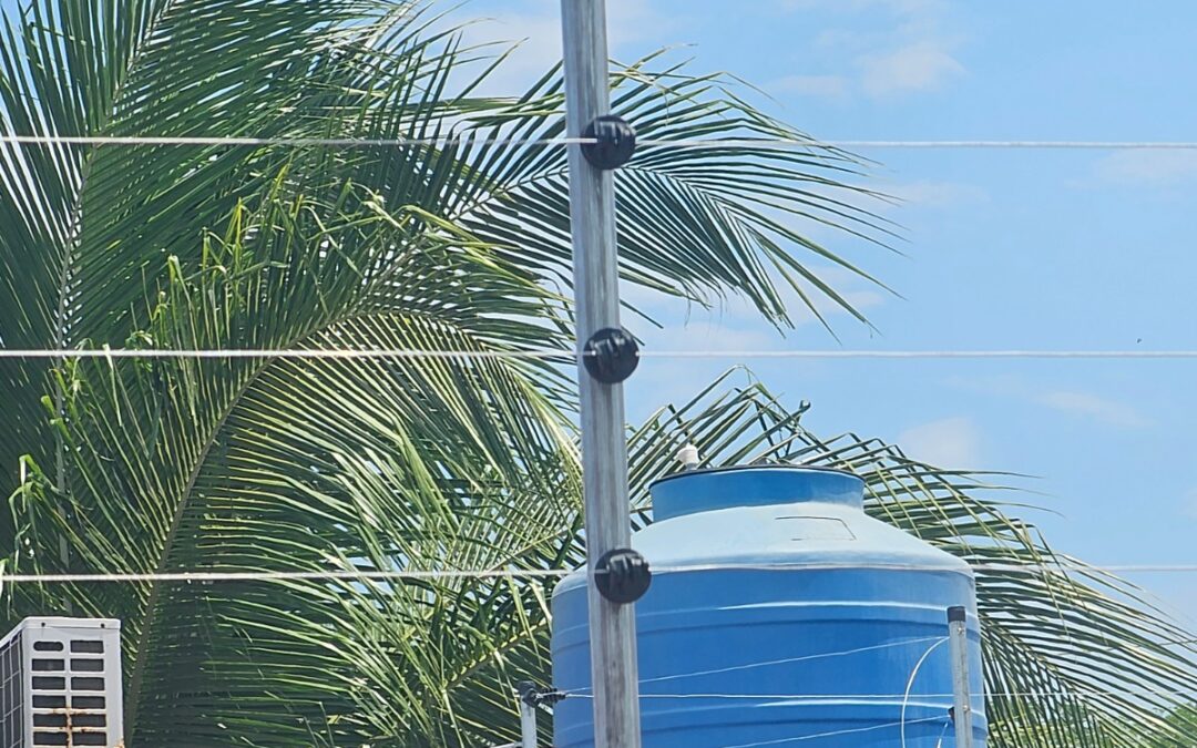 Cercas eléctricas en Nicaragua: la solución inteligente que está protegiendo hogares y negocios